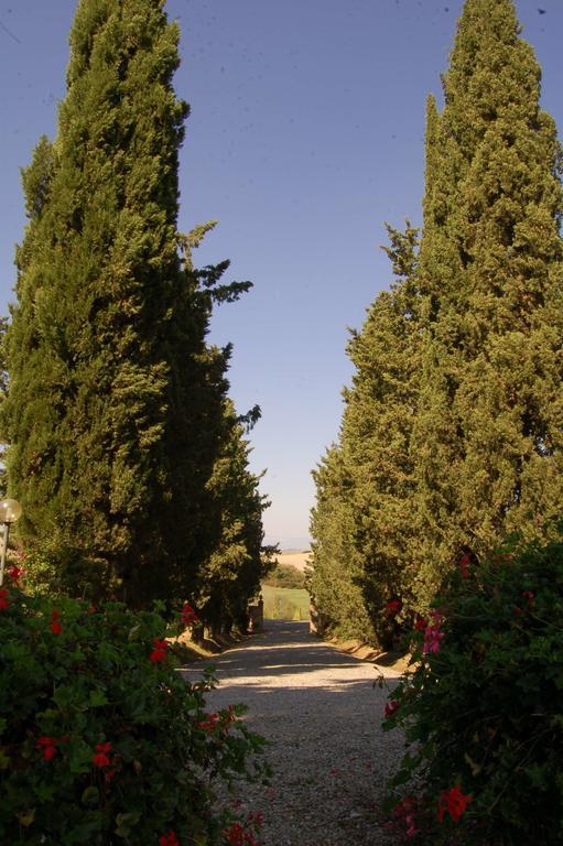 Agriturismo San Francesco Amalia And Anna Orciatico Luaran gambar