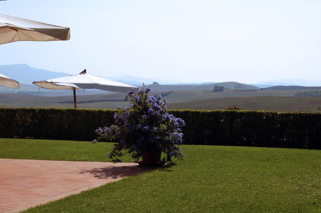 Agriturismo San Francesco Amalia And Anna Orciatico Luaran gambar