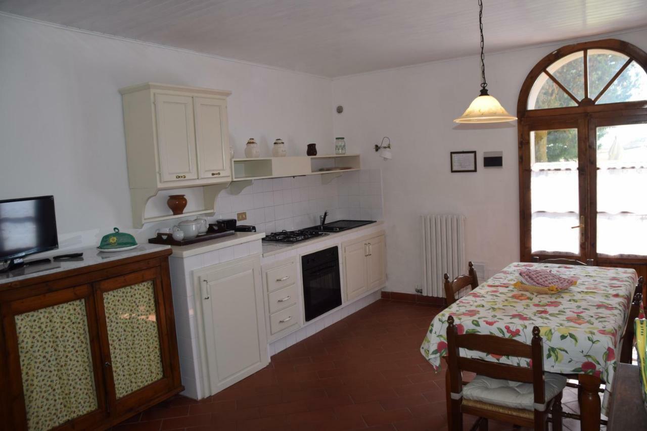 Agriturismo San Francesco Amalia And Anna Orciatico Luaran gambar